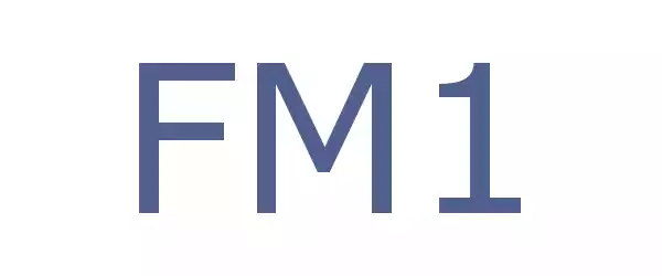 Producent FM1