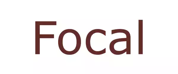 Producent Focal