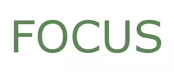 Producent FOCUS