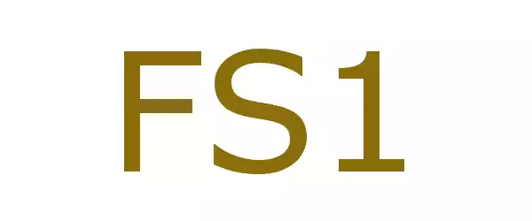 Producent FS1