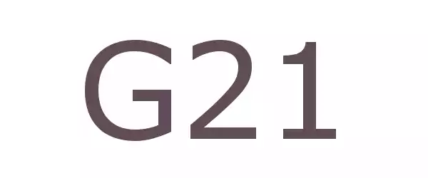 Producent G21