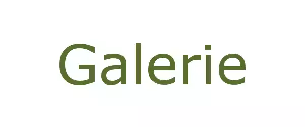 Producent Galerie