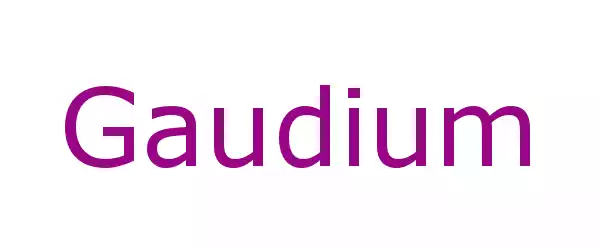 Producent Gaudium