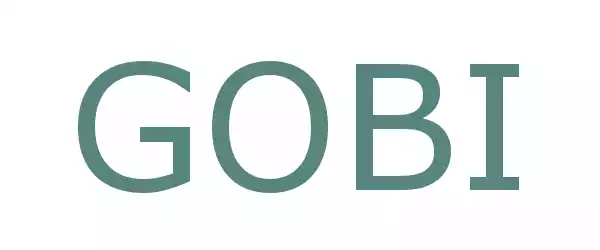Producent GOBI