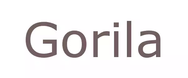 Producent Gorila
