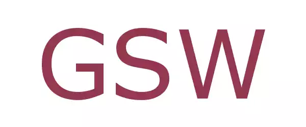 Producent GSW