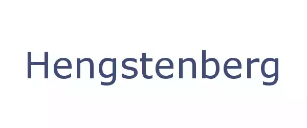 Producent Hengstenberg
