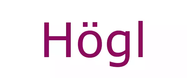 Producent Högl