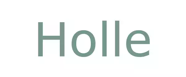 Producent Holle