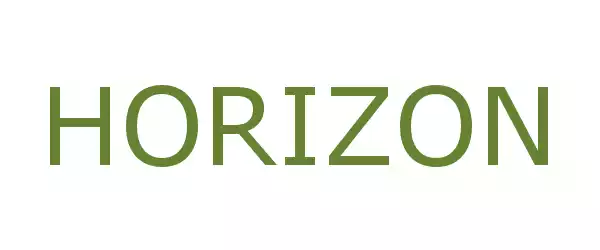 Producent HORIZON