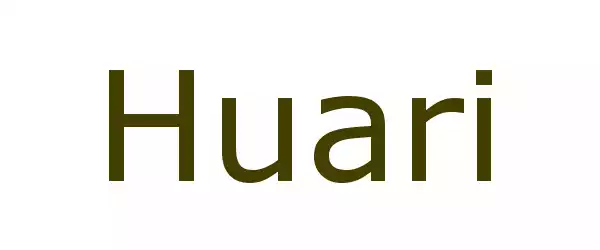 Producent Huari