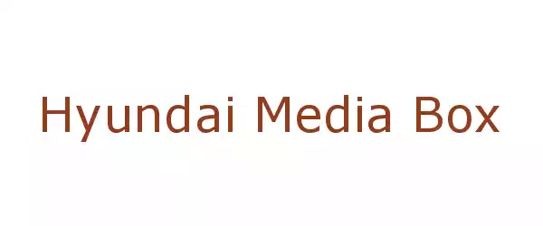 Producent Hyundai Media Box