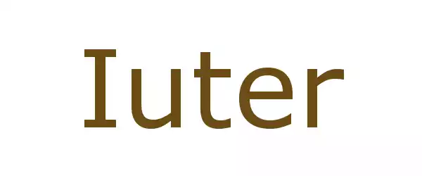 Producent Iuter