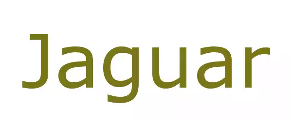 Producent Jaguar
