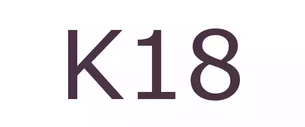 Producent K18