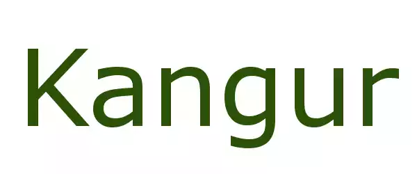 Producent Kangur
