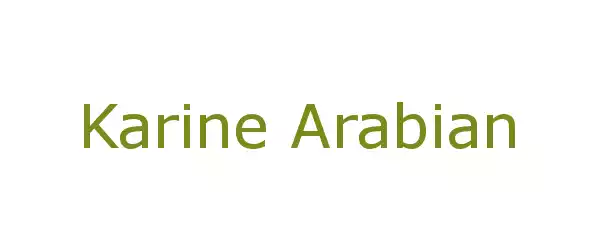 Producent Karine Arabian