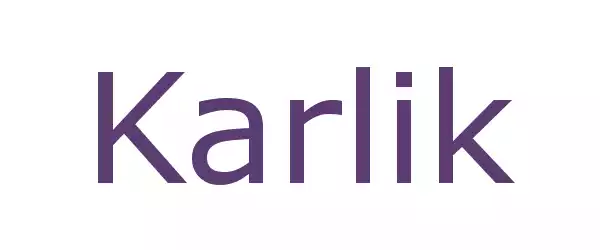 Producent Karlik