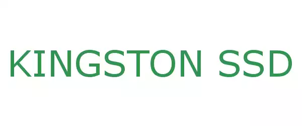Producent KINGSTON SSD