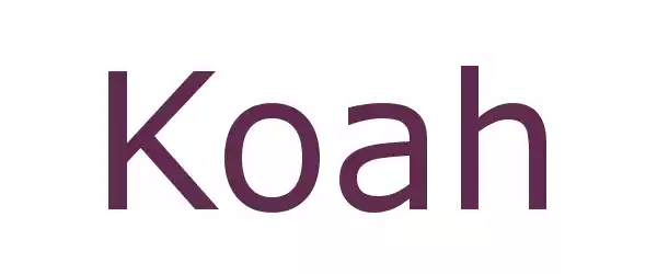Producent Koah