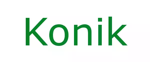 Producent Konik