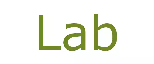 Producent Lab