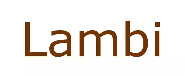 Producent Lambi