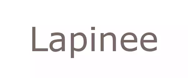Producent Lapinee