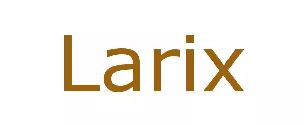 Producent Larix