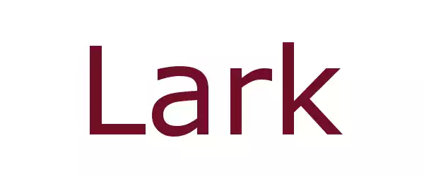 Producent LARK