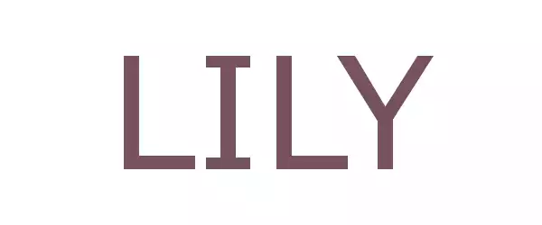 Producent LILY
