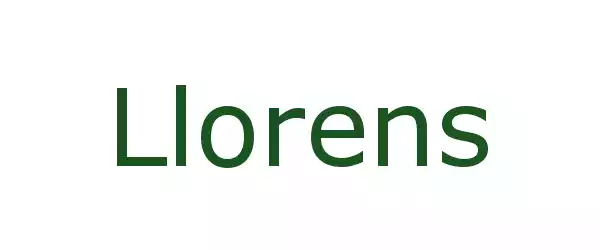 Producent Llorens