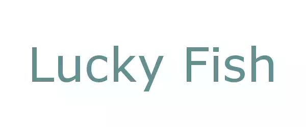 Producent Lucky Fish