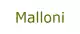 Sklep cena Malloni