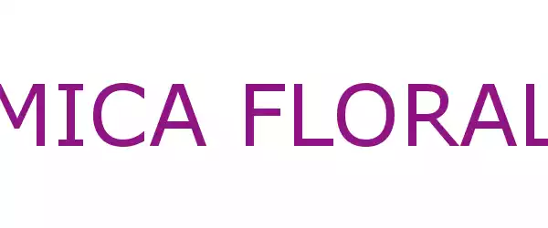 Producent MICA FLORAL