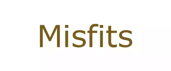 Producent Misfits
