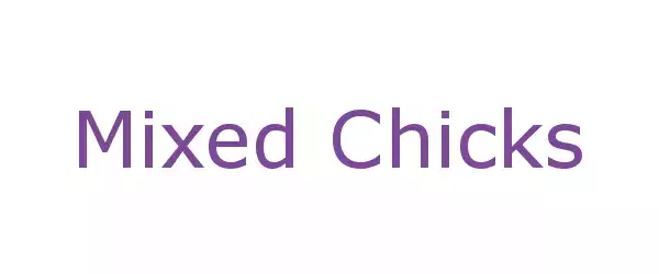 Producent Mixed Chicks