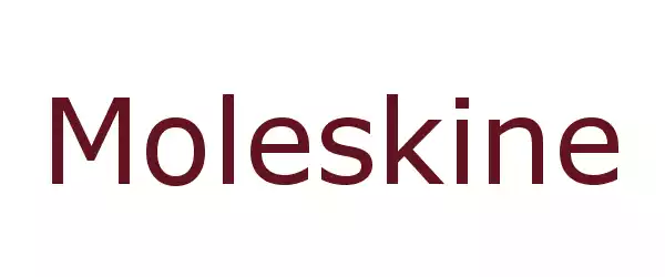 Producent Moleskine