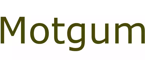 Producent Motgum
