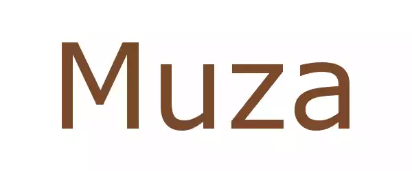 Producent Muza