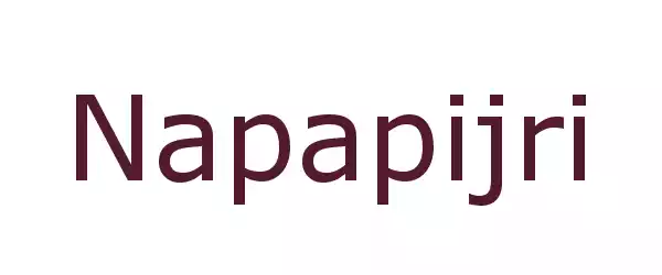 Producent Napapijri