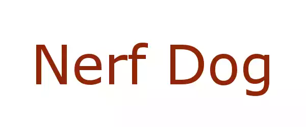 Producent Nerf Dog