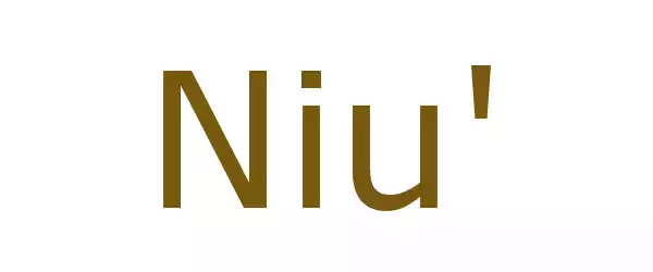 Producent Niu'