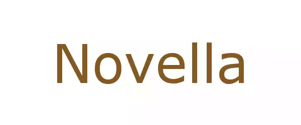 Producent Novella