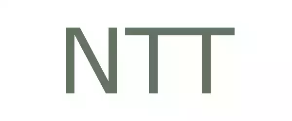 Producent NTT