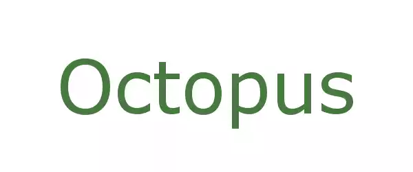 Producent Octopus