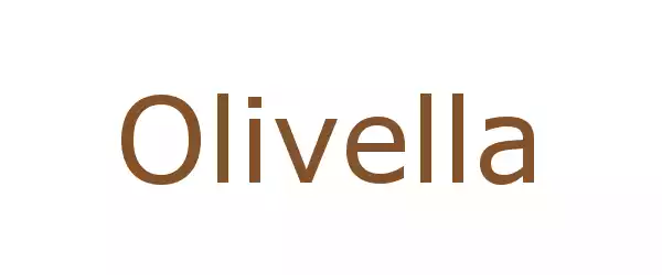 Producent Olivella