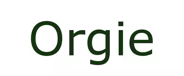 Producent Orgie