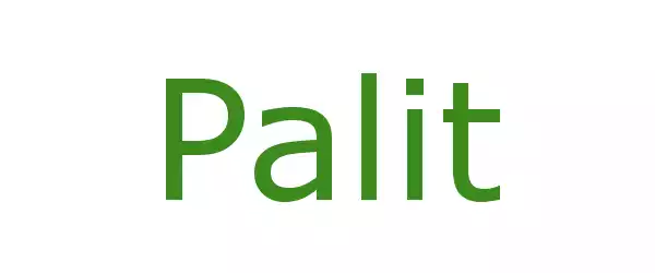 Producent Palit