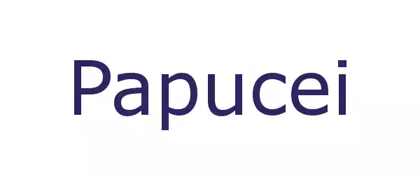 Producent Papucei